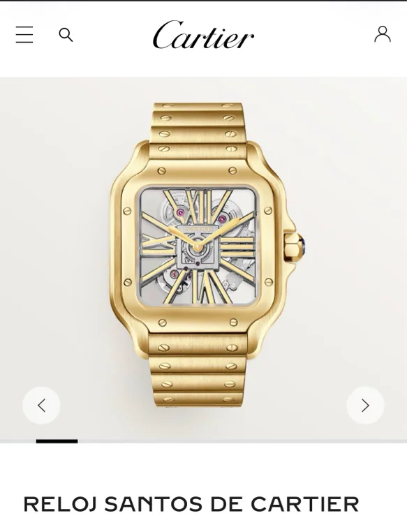 Santos Watch Cartier 