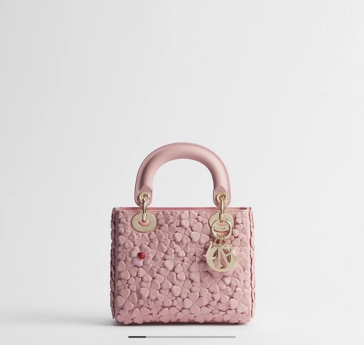 Dior bag