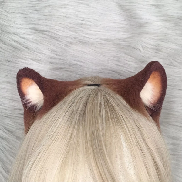 Bear Boy ears :3