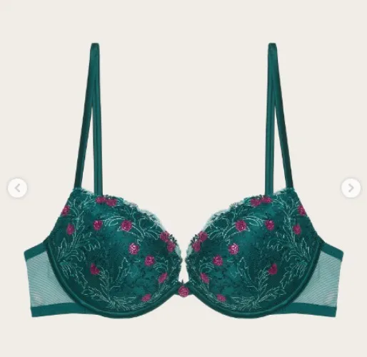 €50 Berry Bra