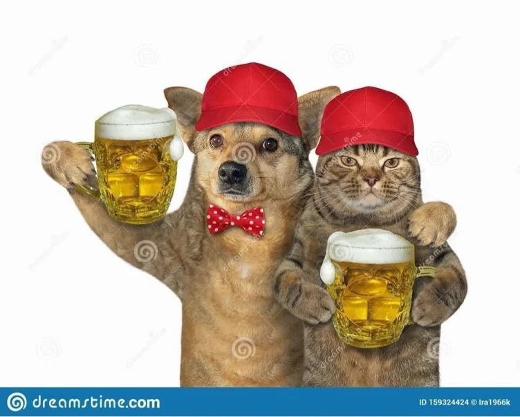6 pack
