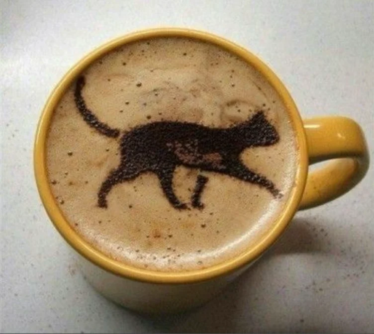 Morning coffee