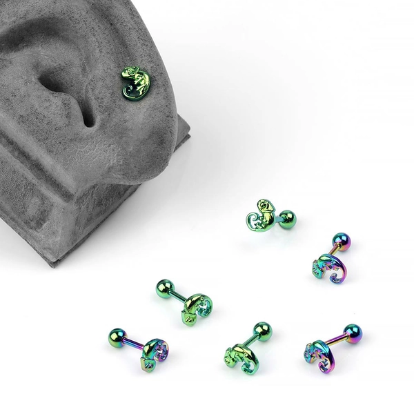 Steel Barbell With Chameleon Top