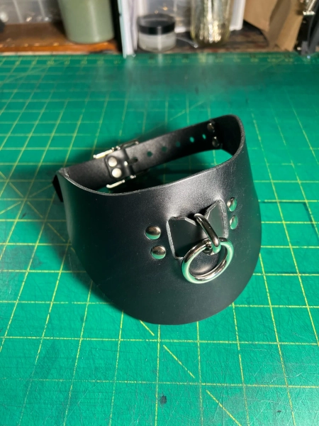 Posture Collar — RIVERQUEER LEATHERWORK