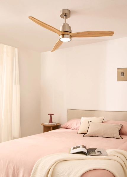 Ceiling fan