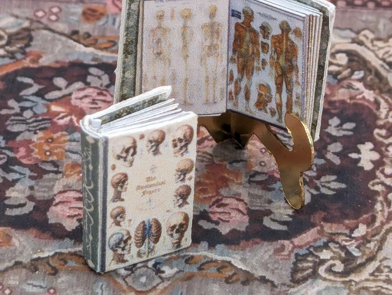 1:24 Scale Medical Anatomy Book