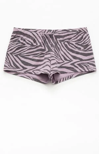 John Galt Violet Zebra Boxer Boyshorts | Pacsun