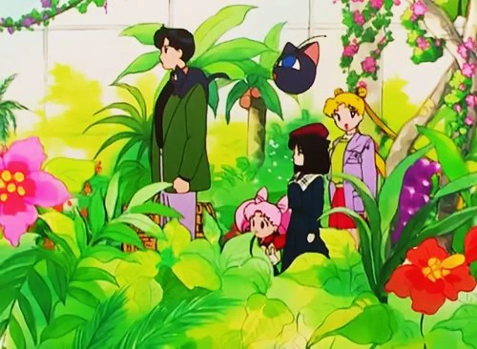 plants for a little mood boost ♥