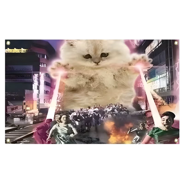 cool cat 