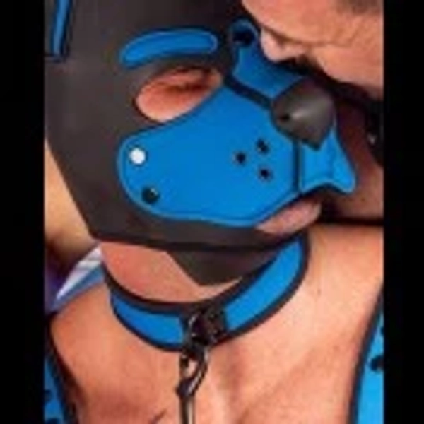 Neo Bold Color Puppy Collar - 14 Colors