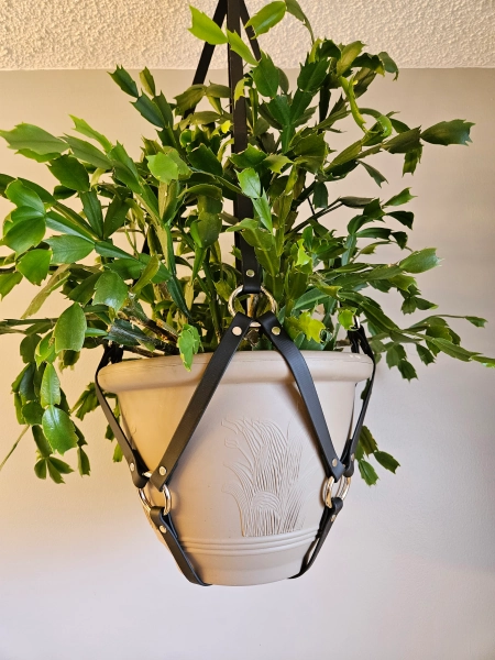Large bondage plant holder | Bio-Kink