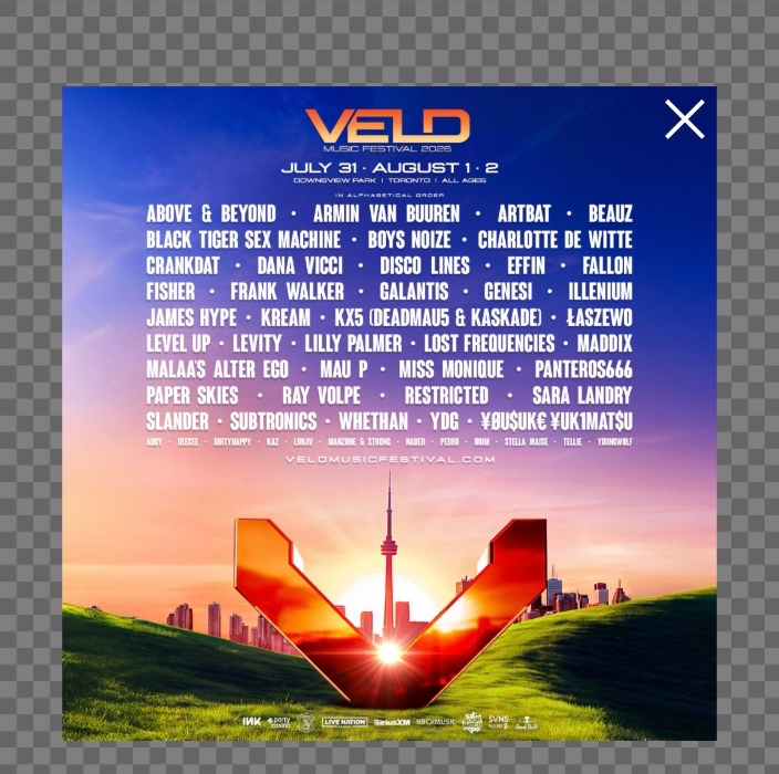 Veld 3 Day Pass 