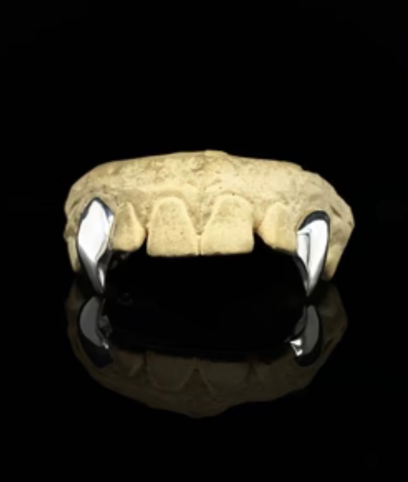 Fangs Grill - custom made