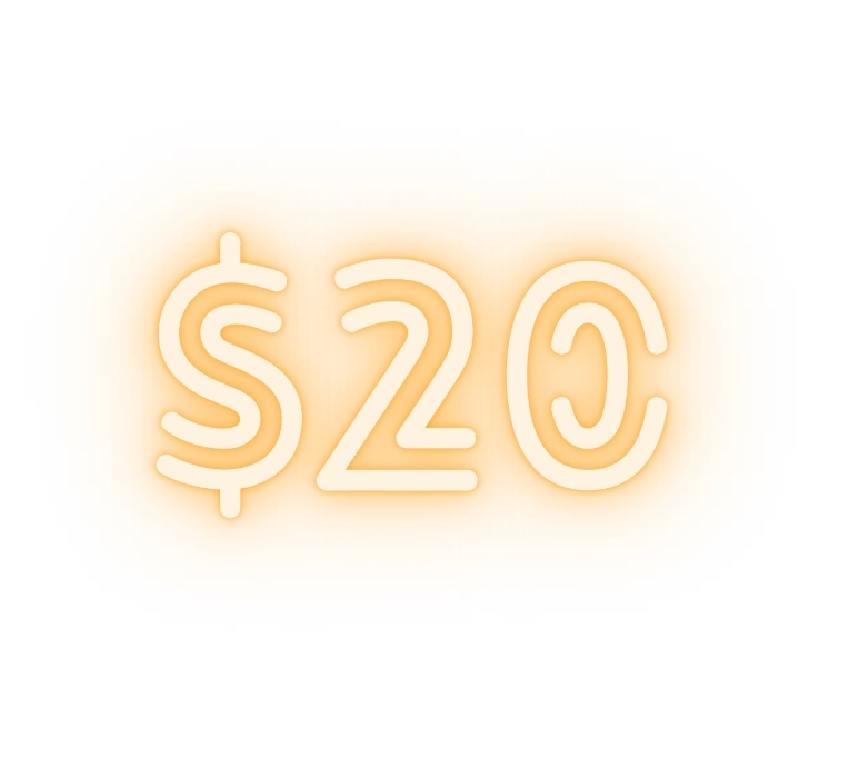 $20