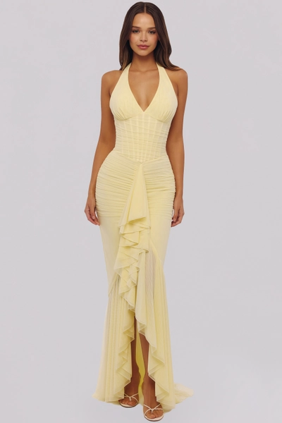 Carmine Lemon Mesh Silhouette Maxi Dress