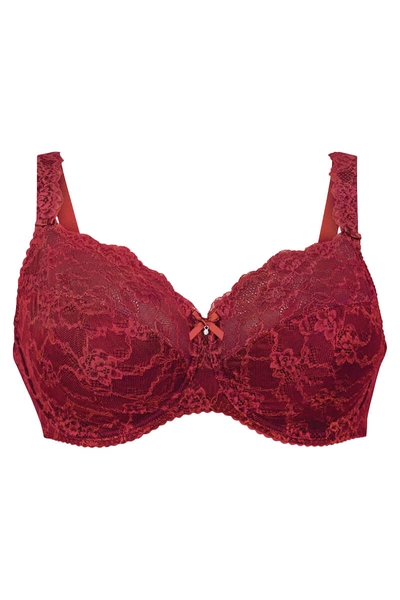 Rosa Faia Bobette Red