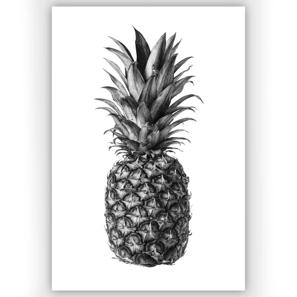 Rainforest Rewild Pineapple