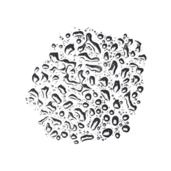 Sea Spray by Lush Cosmetics