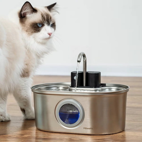 PawsPik Stainless Steel Battery-Operated Dog & Cat Water Fountain, Stainless Steel, Medium, 3.2 Liter