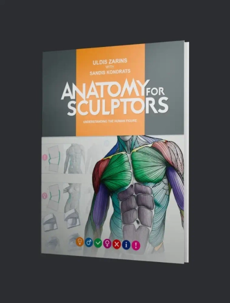 Understanding the Human Figure | by Anatomy For Sculptors ® (Hardcover)