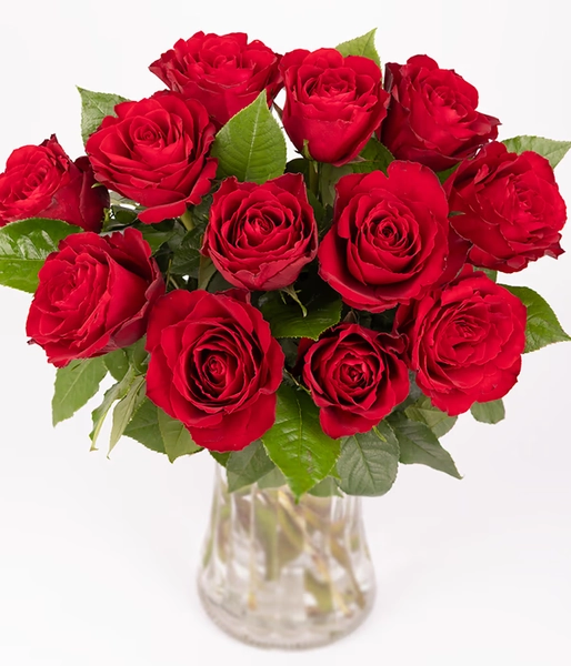 Red Roses