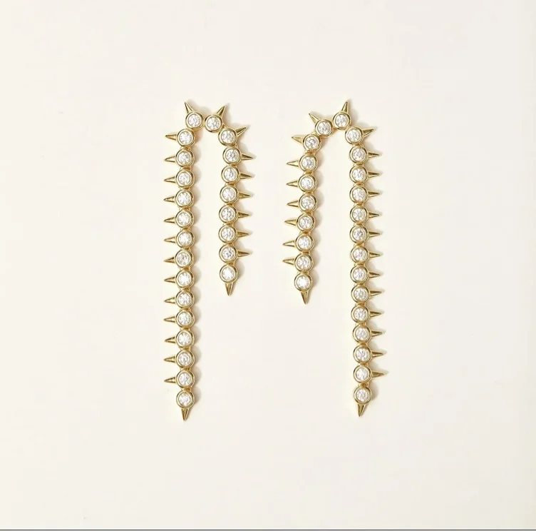 Spikey earrings 