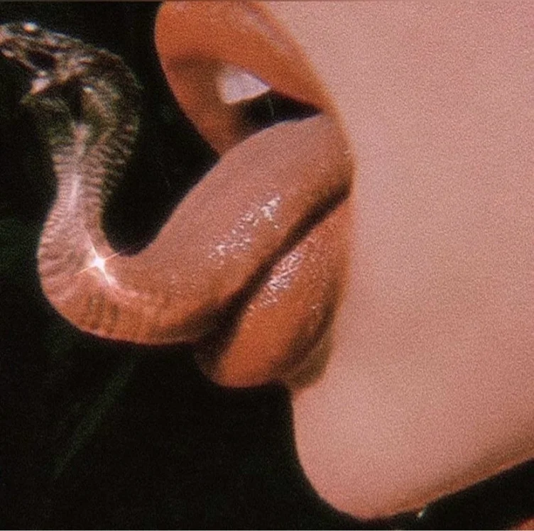 ✹ to speak 