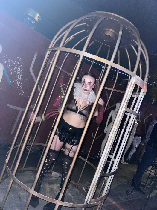 Freedom ⛓️‍💥 