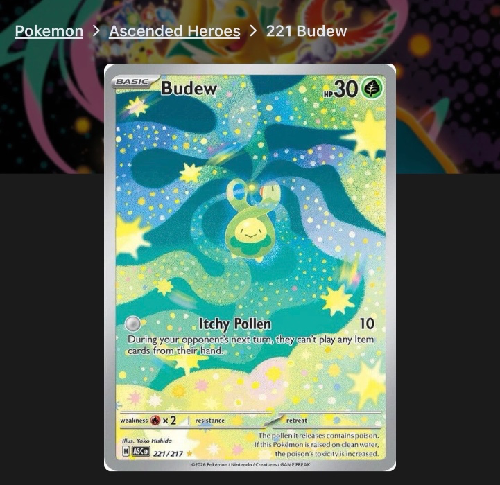 Budew 221/217