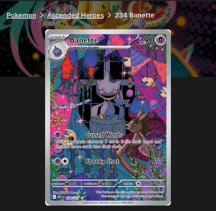 Banette 234/217