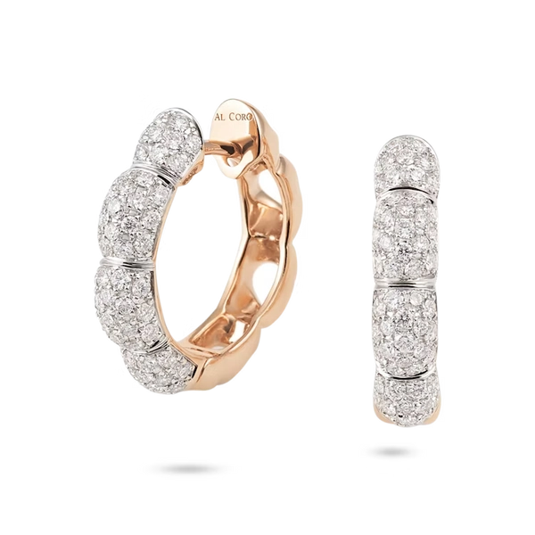 Al Coro Oorbellen NE305WR