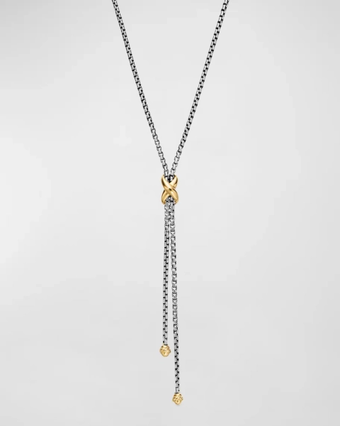 Petite X Lariat Y Necklace with 18K Yellow Gold