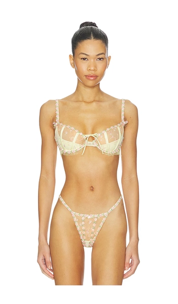 For Love and Lemons Twilight Rose Set