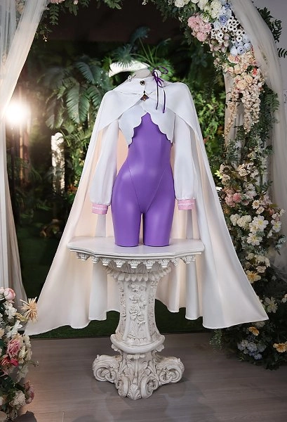 Re Starting Life in Another World Emilia Combat Suit Cosplay Costume Bodysuit and Top with Cape and Headpiece