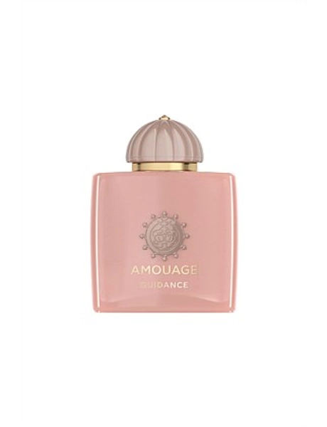 Guidance 100ml - 100ML