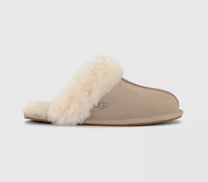 UGG Slippers 