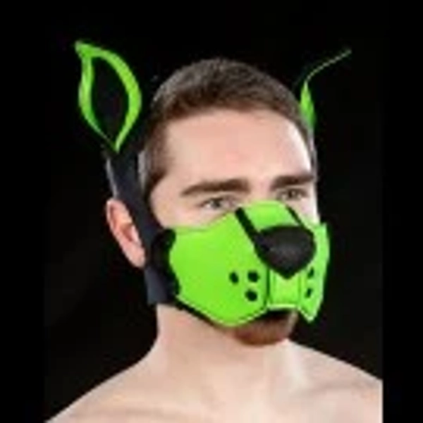 Neoprene K9 Muzzle Kit