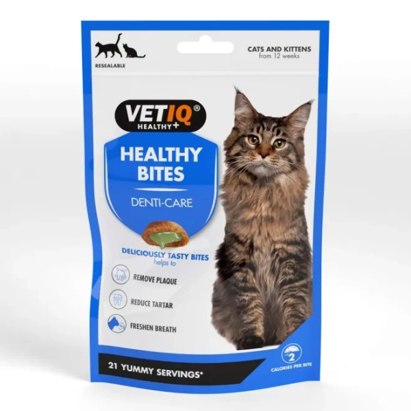 Kitty snackies!