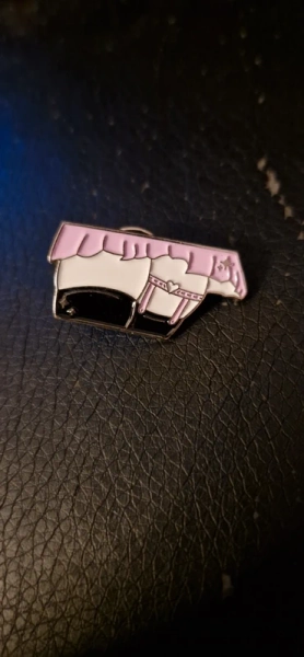 🩷 Kinky pin's 🩷