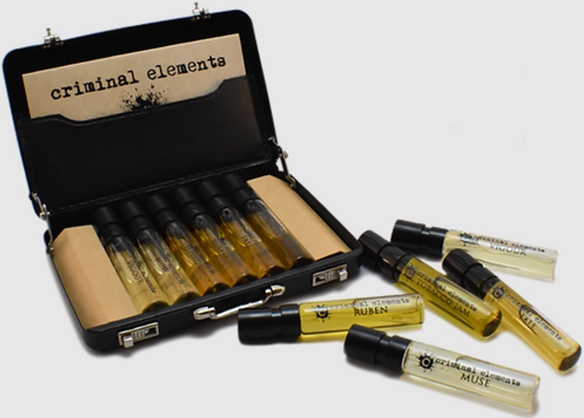 Discovery Set Criminal Elements