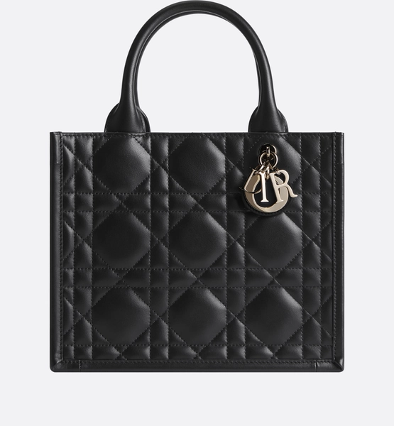 Small Dior Book Tote