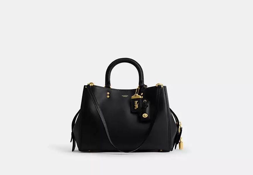 Rogue Bag 31