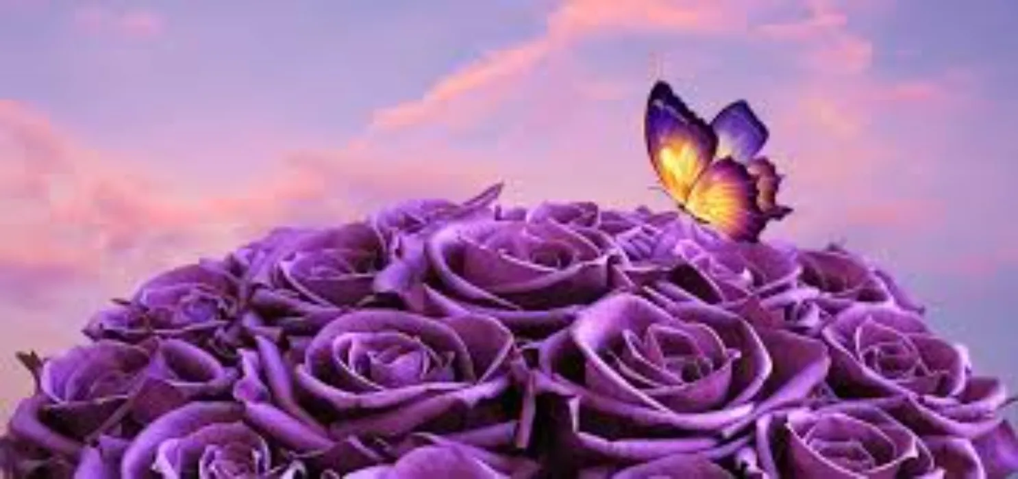 Purple flowers (100)