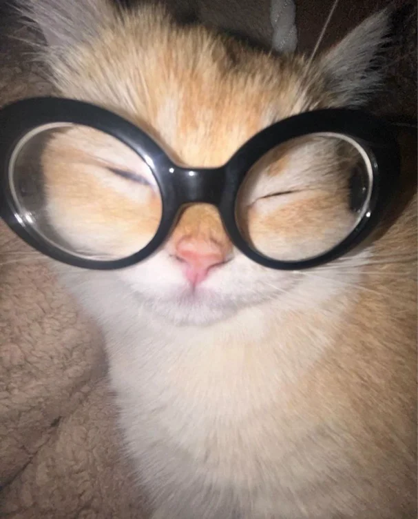 New glasses 