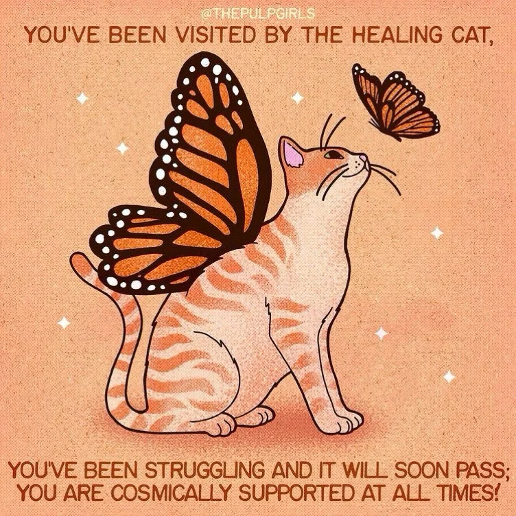 Self care 🧡🧋