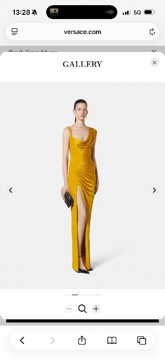 Go halfies on this Versace Medusa 95 dress ? 🥹