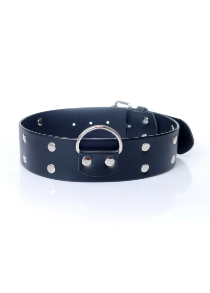 Fantasy Collar With Studs 4 Cm