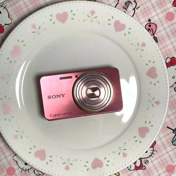 SONY Cyber-shot DSC-W570 Digital Camera 16.1 MP 5x Optical Zoom with Accessories