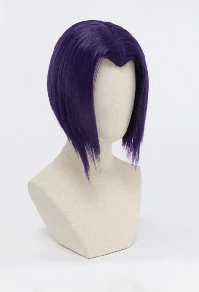 Raven Purple Cosplay Wig