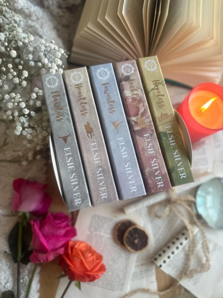 CHESTNUT SPRINGS Series by Elsie Silver Custom Book Rebind (handmade) 